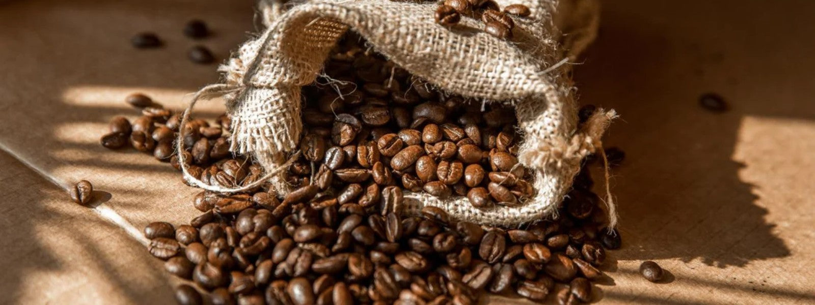 Washed vs natural processed coffee explained: which should you choose?