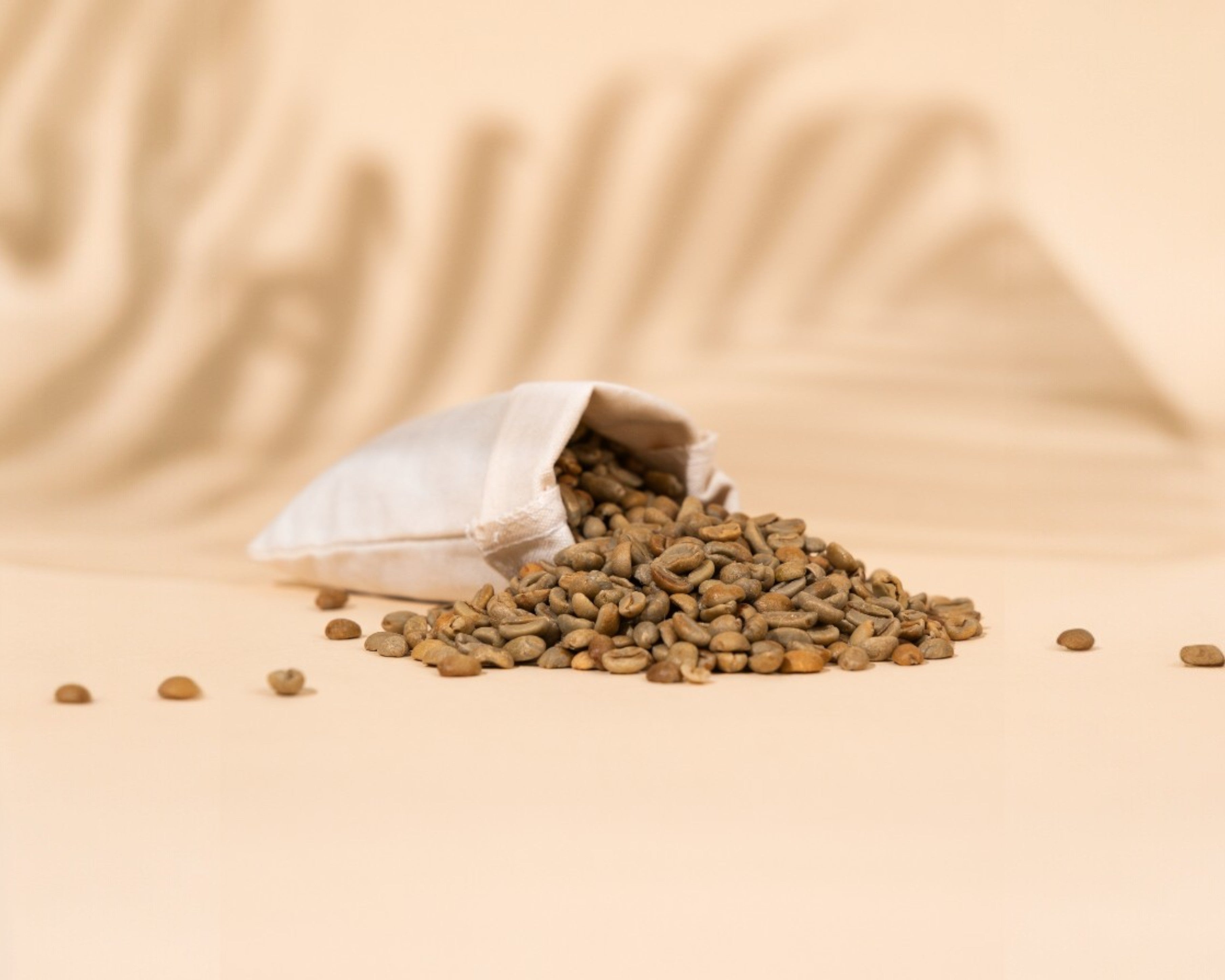 El Salvador Finca Miramar Green