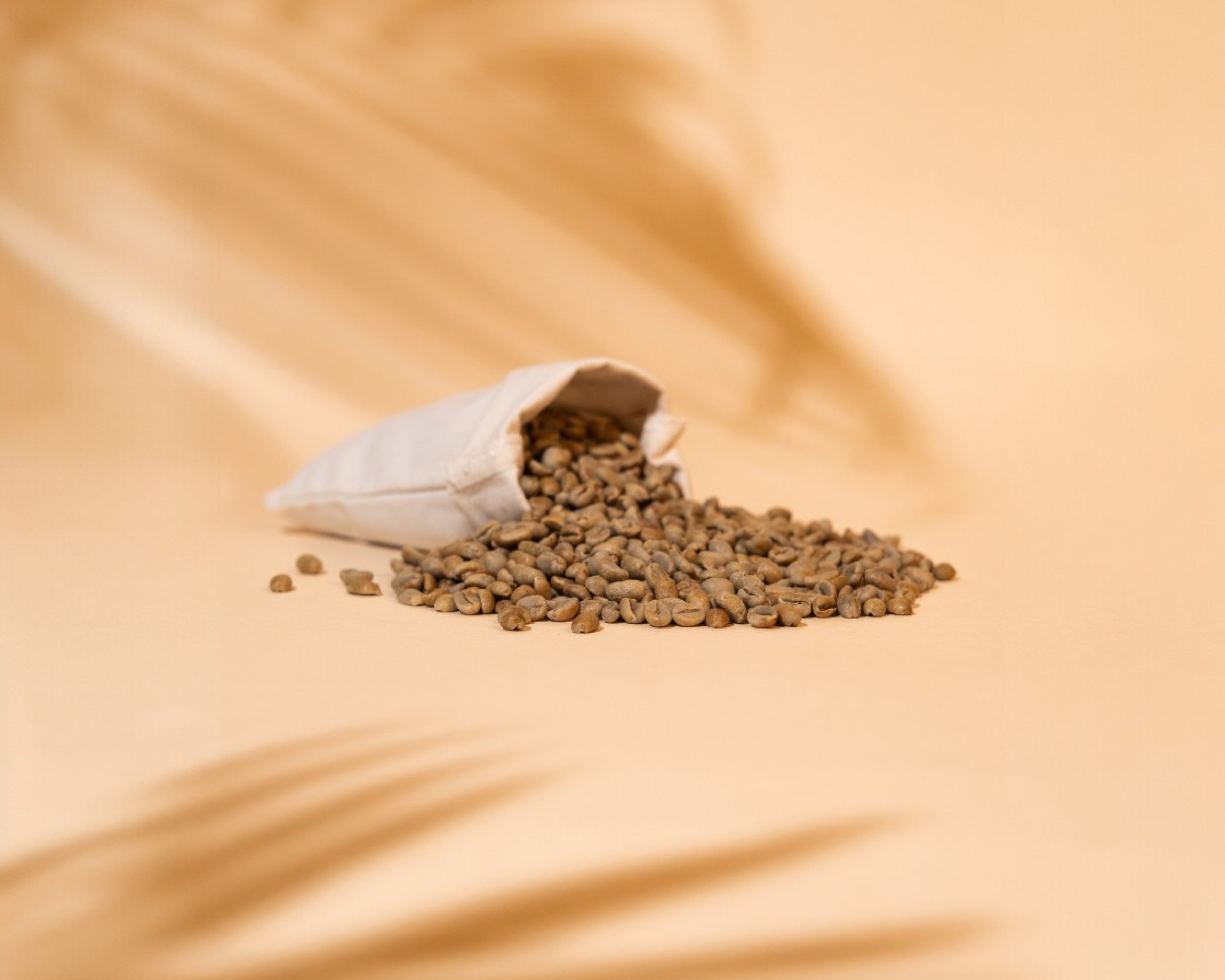 Ethiopia Sidama Taferi Kela Green