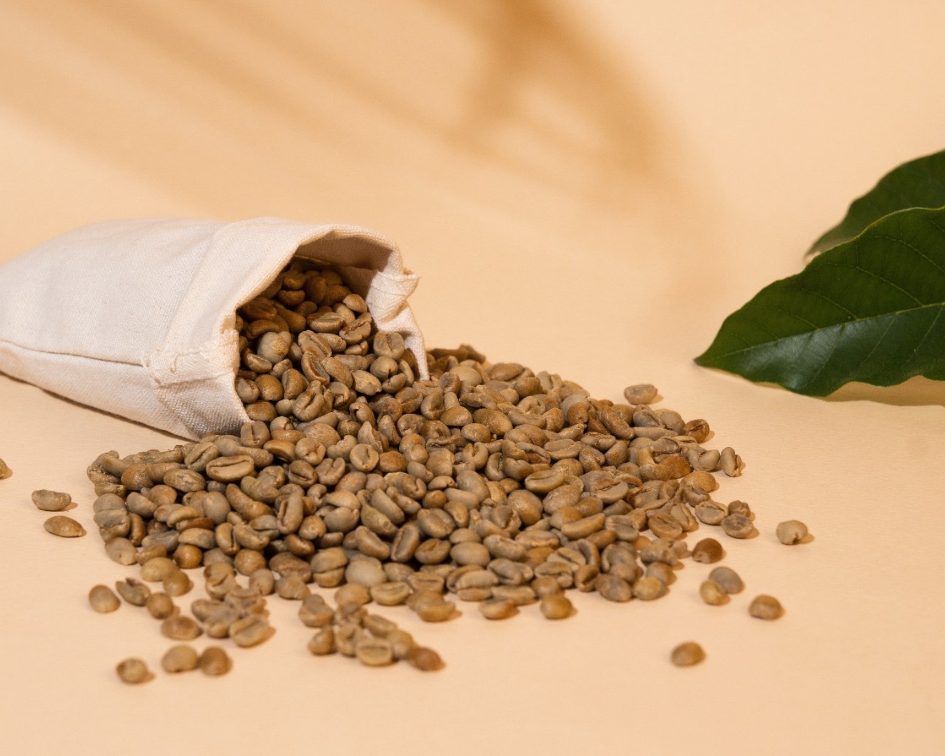 Ethiopia Gori Gesha Green
