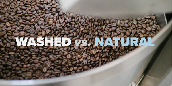How Coffee Processing Changes Flavor: Washed and Natural Explained