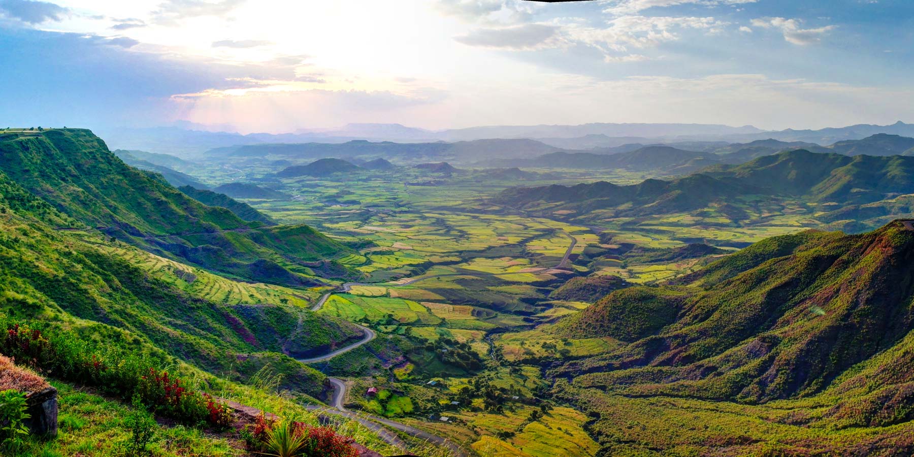 Ethiopian Coffee Guide: Regions, Processing and Flavor Profiles