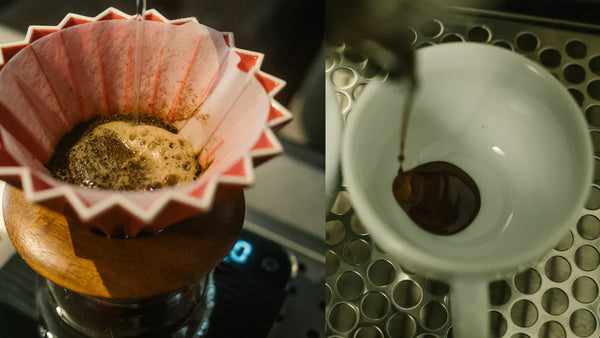 Espresso vs filter coffee beans: how to choose the right coffee in India